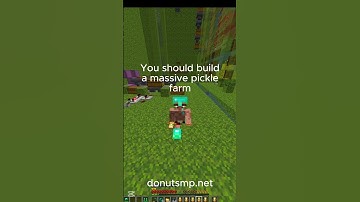 Investing in elytras on the donut smp is a scam............. #minecraft #tutorial #gaming