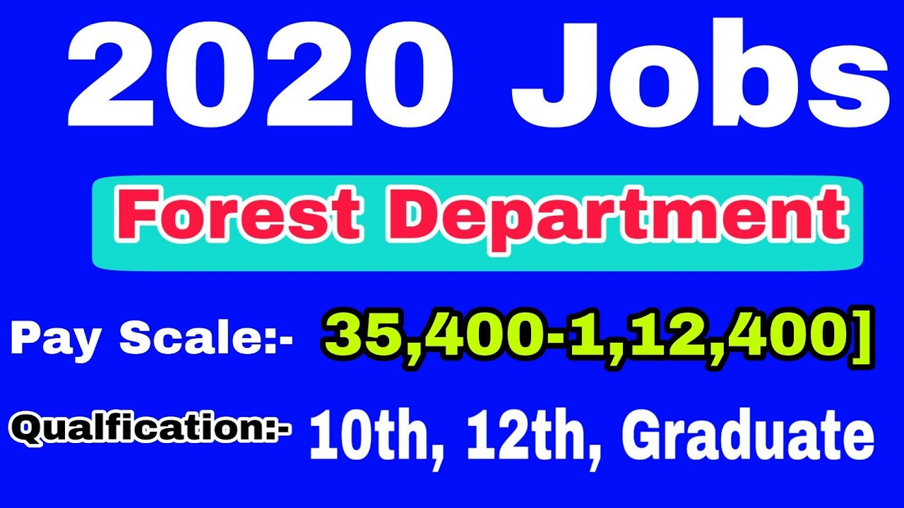 2020 Jobs In Forest Department|Ranger|Forest Guard|Wildlife Guard| Dehli Forest Recruitment