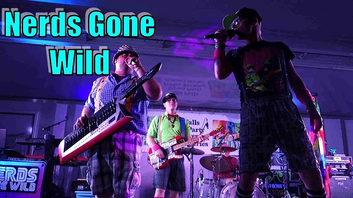 Nerds Gone Wild 1980's Cover Band from Western New...