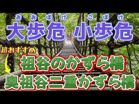 超おすすめ 奥祖谷二重かずら橋　かずら橋　大歩危小歩危（おおぼけこぼけ）　かずら橋より 奥祖谷二重かずら橋に行ったほうがいい！ 歩危マート