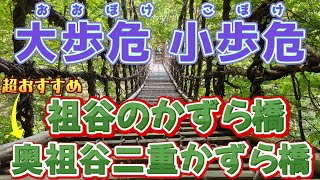 超おすすめ 奥祖谷二重かずら橋　かずら橋　大歩危小歩危（おおぼけこぼけ）　かずら橋より 奥祖谷二重かずら橋に行ったほうがいい！ 歩危マート