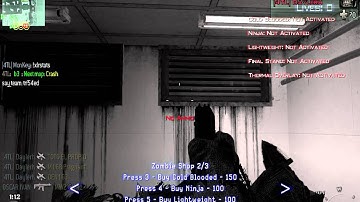 MW2 Zombies online game mode (alterIWnet)