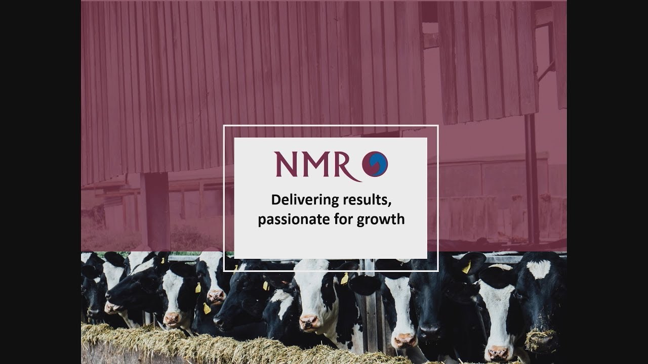 National Milk Records Share Price