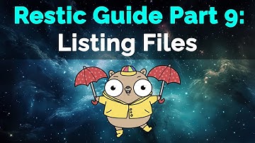 Restic Guide Part 9: Listing Snapshot Files
