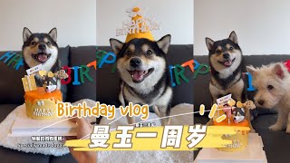 🎂曼玉Manyu生日Vlog，曼玉一周岁啦！