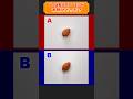 Which one is real? One is a clay almond.