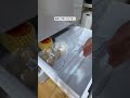 保存必須❤️🔥汚れたら捨てるだけ!野菜室清潔ワザ