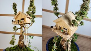 In Depth Cannabonsai Video
