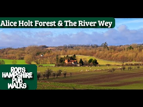 #83 Rob's Hampshire Pub Walks Holtpound, Alice Holt Forest &River Wey Walk