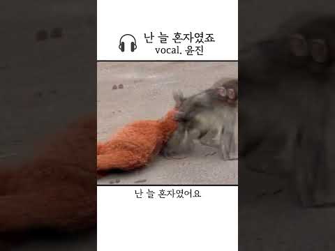 💧버림받은 원숭이가 살아가는 법🐵  #난늘혼자였죠 #shorts