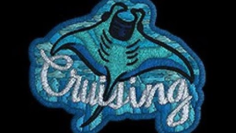 CS:GO Sticker Showcase - Cruising Ray