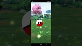 Quête de celebi. pokemon go. dur dur à attraper.