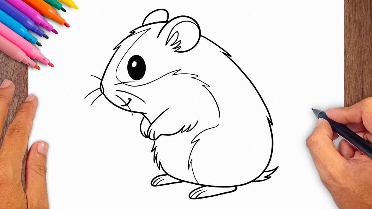 Cute Hamster Drawing Tutorial