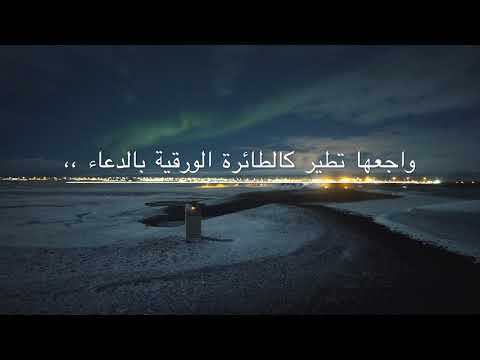 حلق كالطير