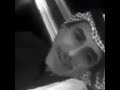 كيف أكتب الشعر وع يونك قصيد وكيف أوصفك وأنت القصايد كلها 