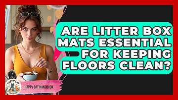 Are Litter Box Mats Essential For Keeping Floors Clean? - Happy Cat Handbook