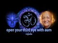 How to open your third eye by chanting aum with rajada