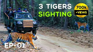 (Day 1) Kanha National Park - Mukki Gate Tiger Safari - (MV3, Mahavir 3) 4K Video Hindi | हिन्दी