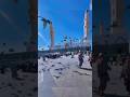 سورة الفتح القارئ الشيخ عبد الباسط عبد الصمد