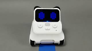 Codey Rocky-Color Sensor