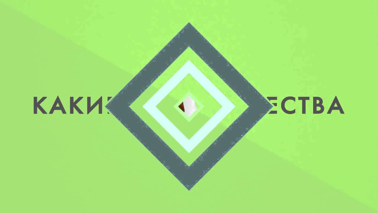 Видеоролик всего за 100 евро.  Презентация компании LeadHacker