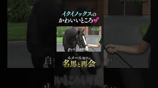 イクイノックスのかわいいところ #ルメール #イクイノックス #競馬 #名馬 #horse #shorts
