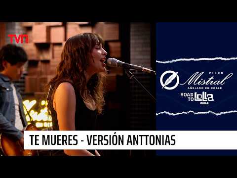 Te Mueres - De Saloon (Versión Anttonias) | Mistral Road To Lolla 2026