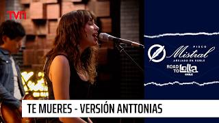 Te Mueres - De Saloon (Versión Anttonias) | Mistral Road To Lolla 2026