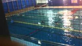 バッタ swim4040okinawa