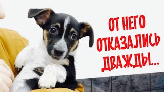 :      .   !?