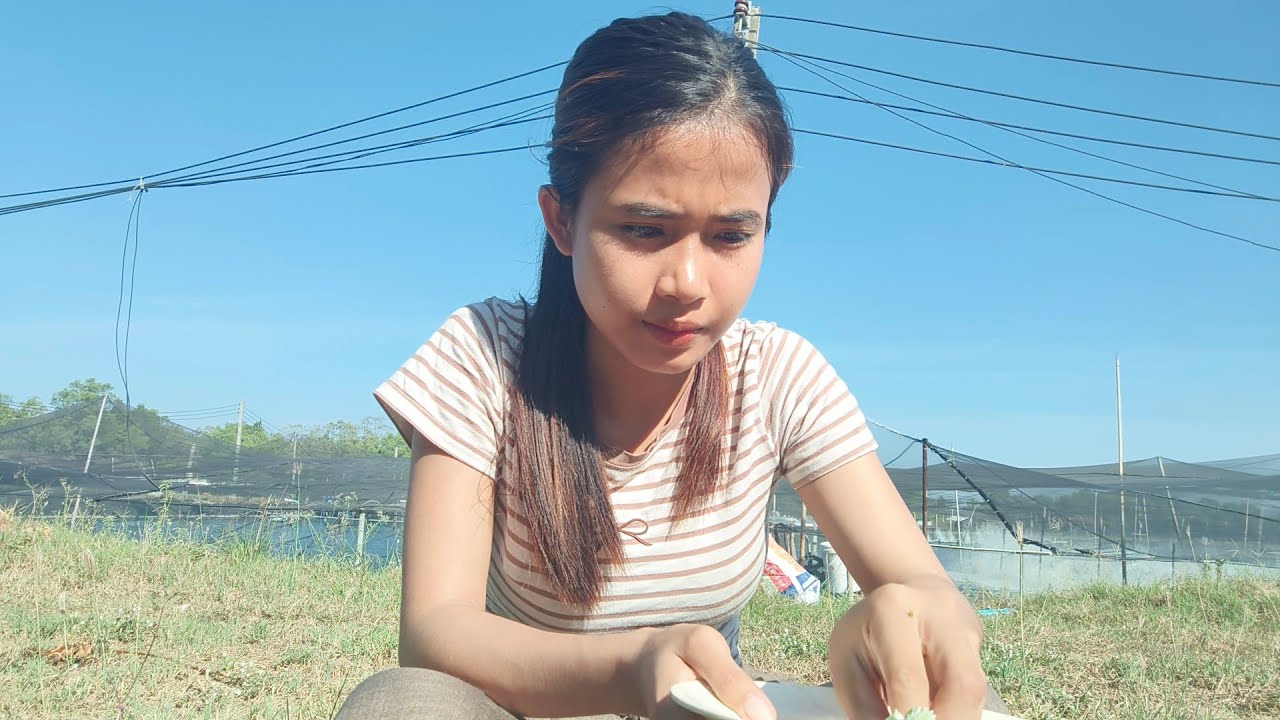 3 มีนาคม ค.ศ. 2026