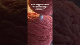 Ever wondered what actually goes on beneath the surface when you get a massage