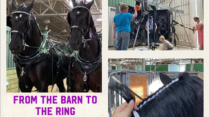 HORSE SHOW LIFE | SIX HORSE HITCH