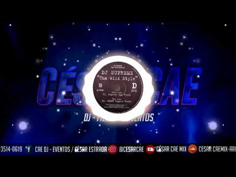 Dj Supreme - The Wildstyle (Supreme Ego Remix)