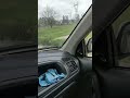 بوفاريك الماء من الحقول إلى الطريق بوفاريك الماء من الحقول إلى الطريق