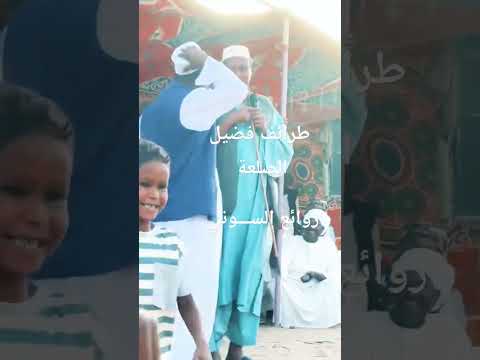 طرائف فضيل الصلعة الشعر