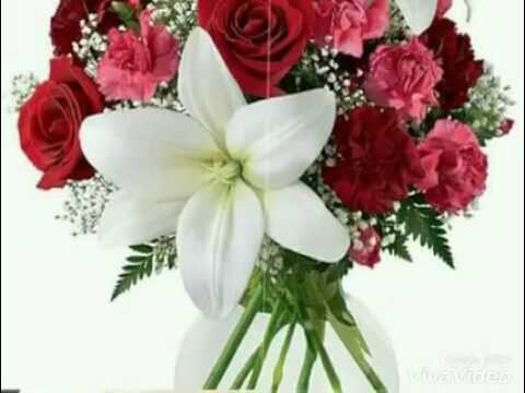 يا امي يا أغلى ما عندي