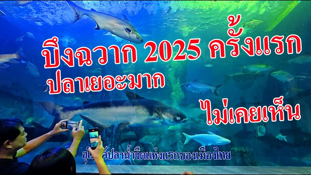 บึงฉวาก 2025 ปลาที่ไม่เคยเห็นเยอะมาก