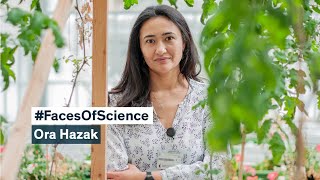 #FacesOfScience: Ora Hazak, Plant Biologist