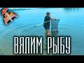 Солим рыбу на рыбалке !  ВЯЛЕНАЯ РЫБКА