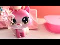End of video