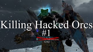 Killing a Hacked Orc in Vendetta (Shadow of War) #1