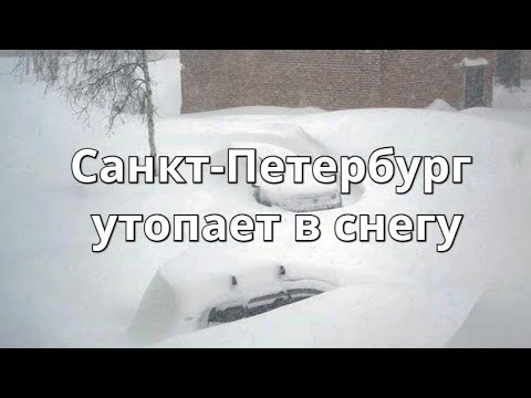 Video: Kje Je Jantarna Soba V Sankt Peterburgu