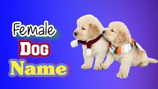 Top Unique Female Dog Name | 80 name for Dog Girls