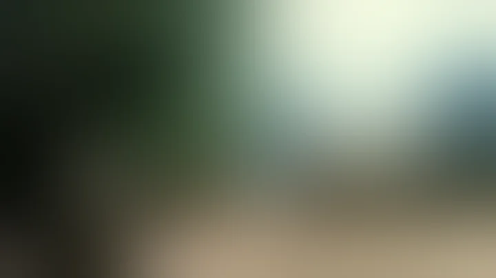 Creedence Clearwater Revival - Run Through The Jungle - Vietnam war