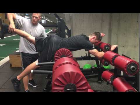 Eccentric SL Reverse Hyper