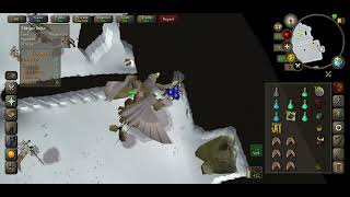 - Armadil Boss Gwd Solo Mobile Casual On A Task For Avianse