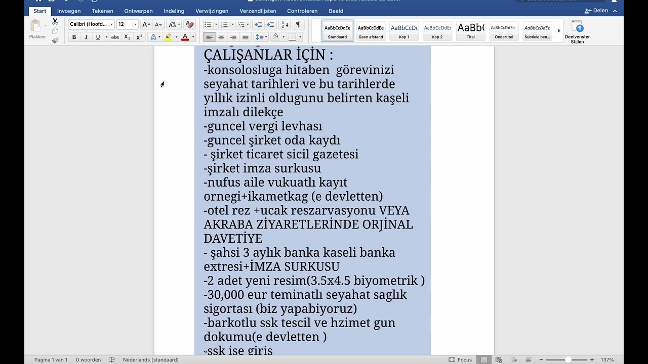 SCHENGEN VİZESİ İÇİN GEREKLİ BELGELER NELER? EN ÖNEMLİ İPUÇLARI ve DETAYLAR 2024-2025