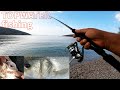 Top Water Fishing for Sea Bass! I got many sea bass and a... seagull! Feat: Surf Walker 125.