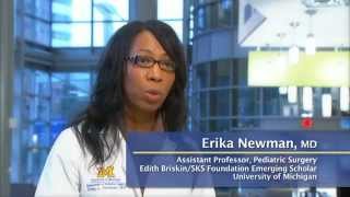A. Alfred Taubman Medical Research Institute - The Emerging Scholars Program